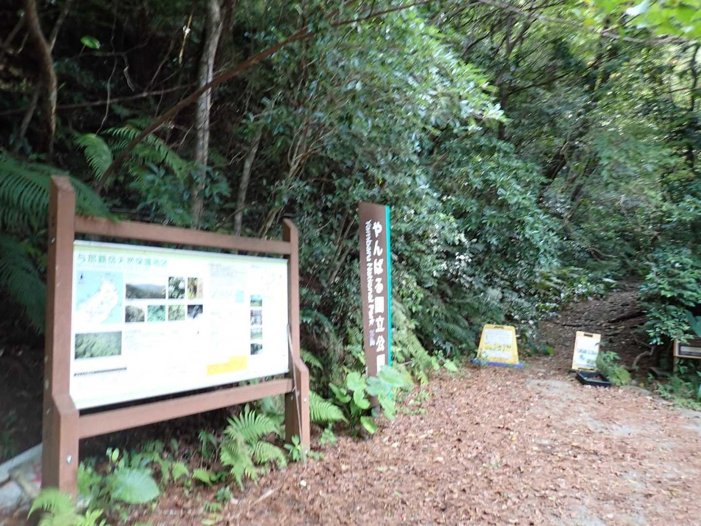 スタートはここから🚶‍♀️

ピント合って無い写真💦多数です🙏