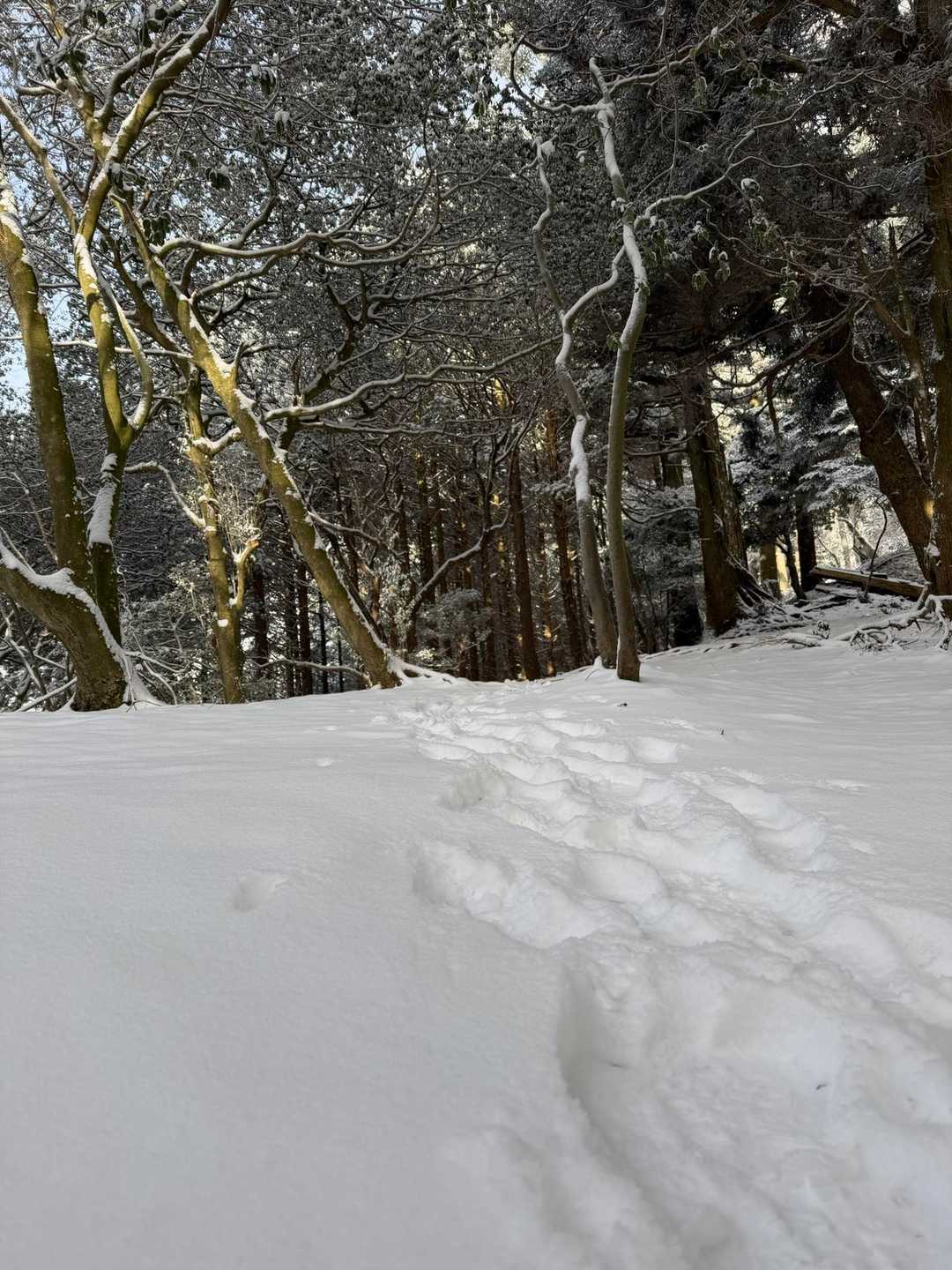 あら、ここいらは深い❄️