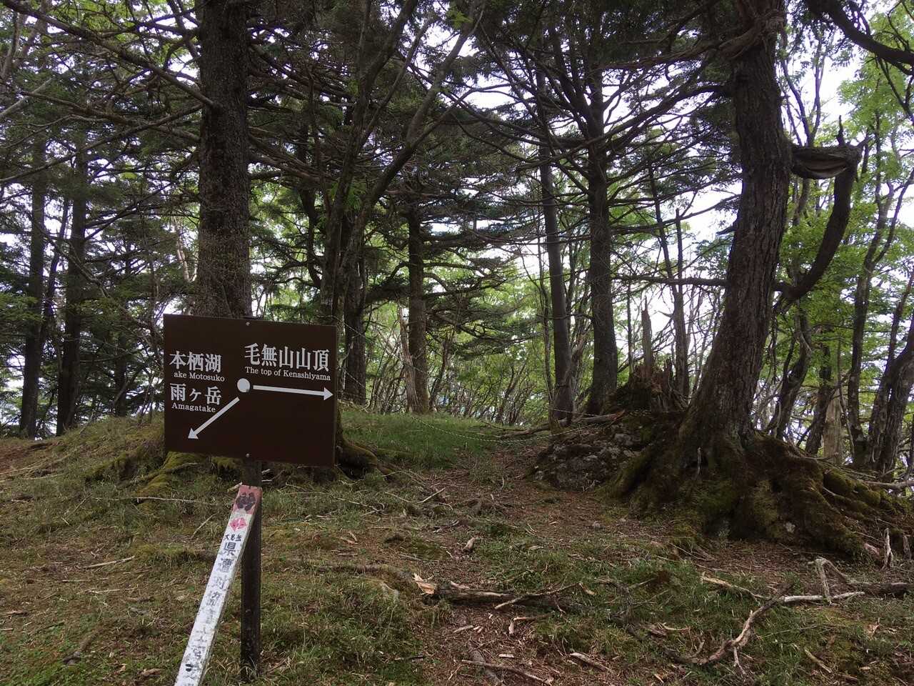 大見岳の写真