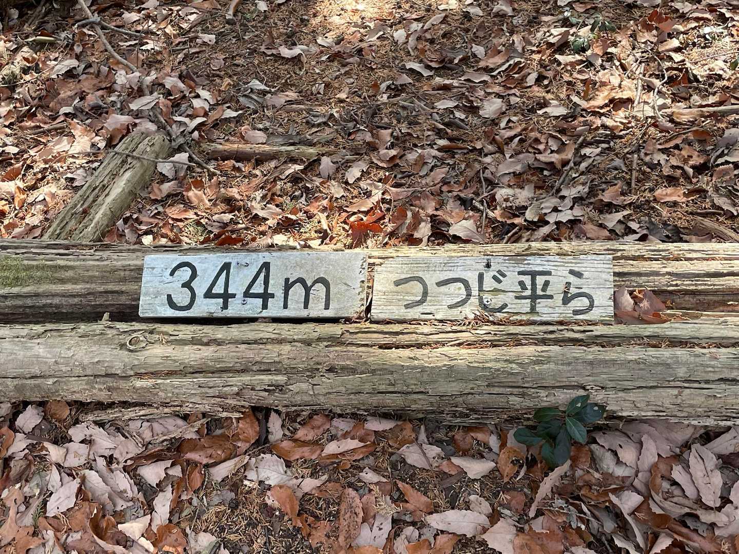つつじ平ら到着😊
平らが1番✨