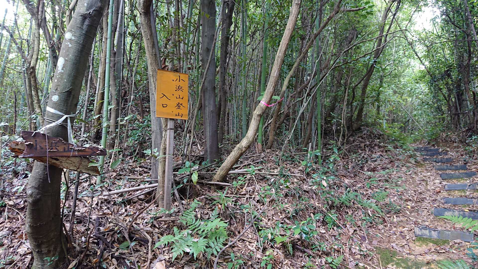 よく整備されて歩きやすい