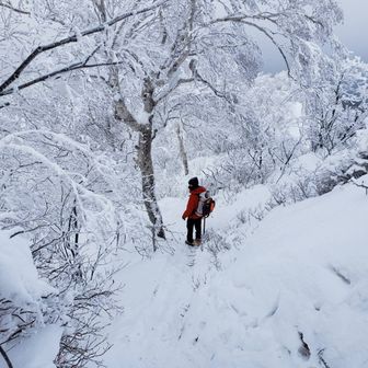 ｒｙｒｙｒｙｒｙ