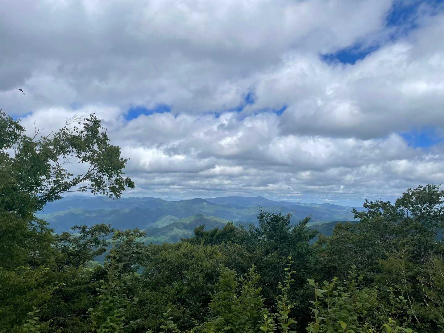 笠杉山登山口-笠杉山 往復コースの写真