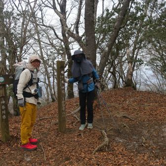 畦ヶ丸山頂（眺望もなく地味です）