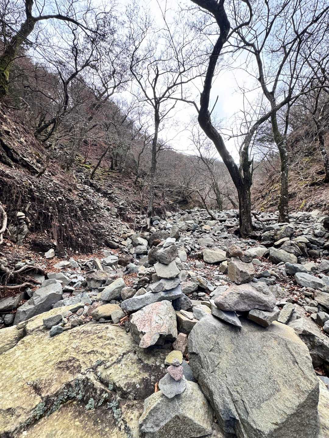 何度か足をグネりそうになりながら進むしかない