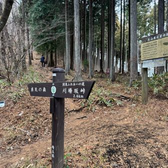 大野峠の東屋で小休止、キャンプ場もできて賑わってました