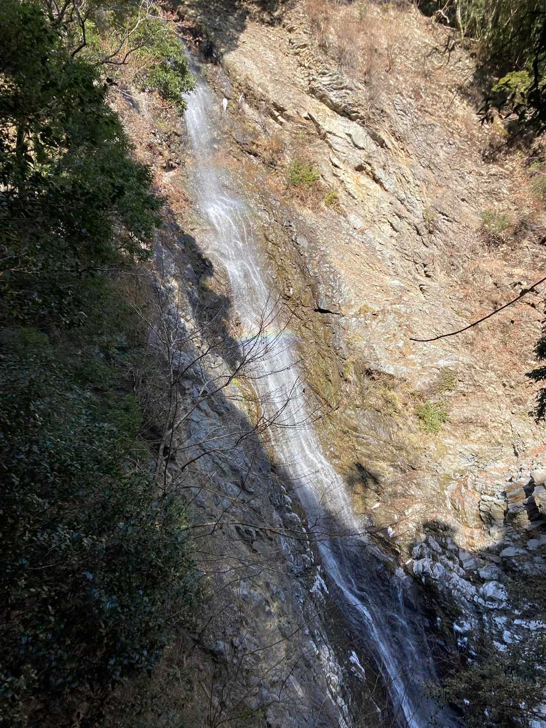 高根山 周回コースの写真