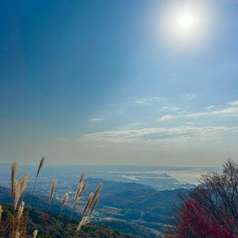 こんな景色😃三河湾だと思いますが、半島がずいーんと伸びてました