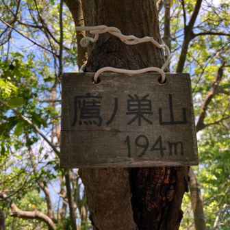 鷹ノ巣山