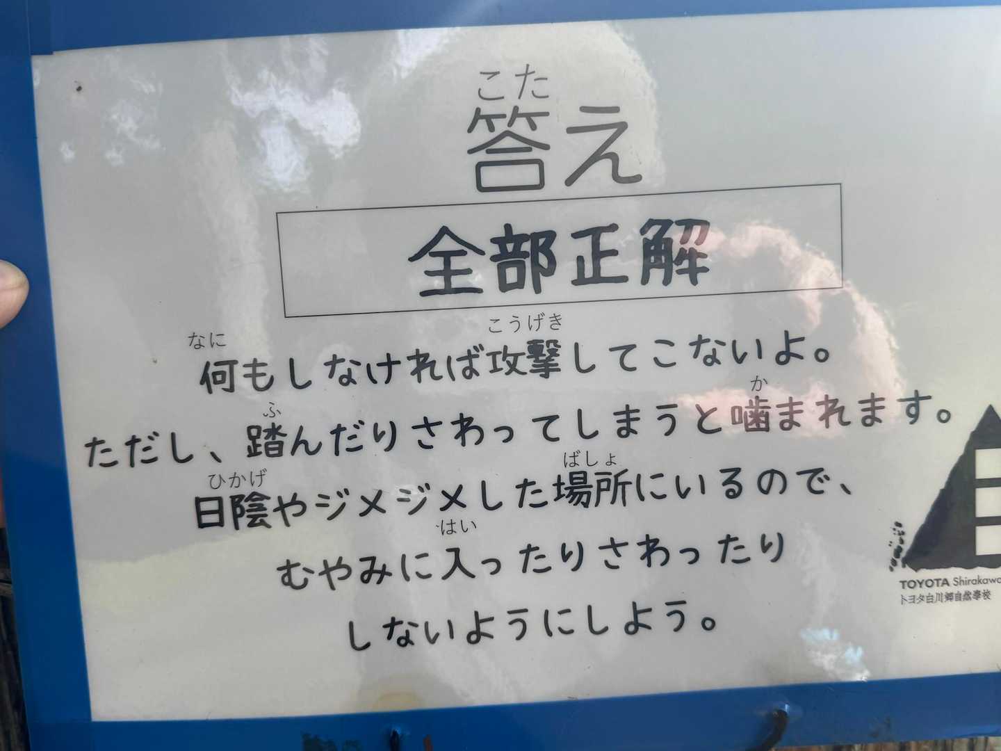 やっぱりぜんぶダメでした😆
クイズになってない気が………😆