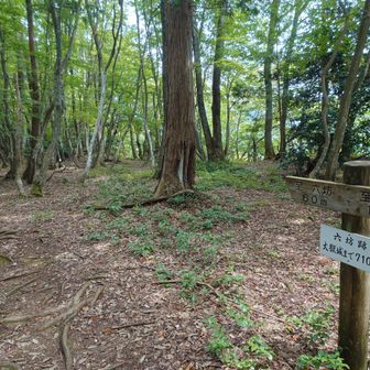 鞍部となる六坊跡に着きました。