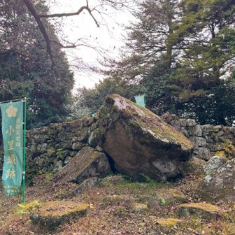 デカい岩🪨