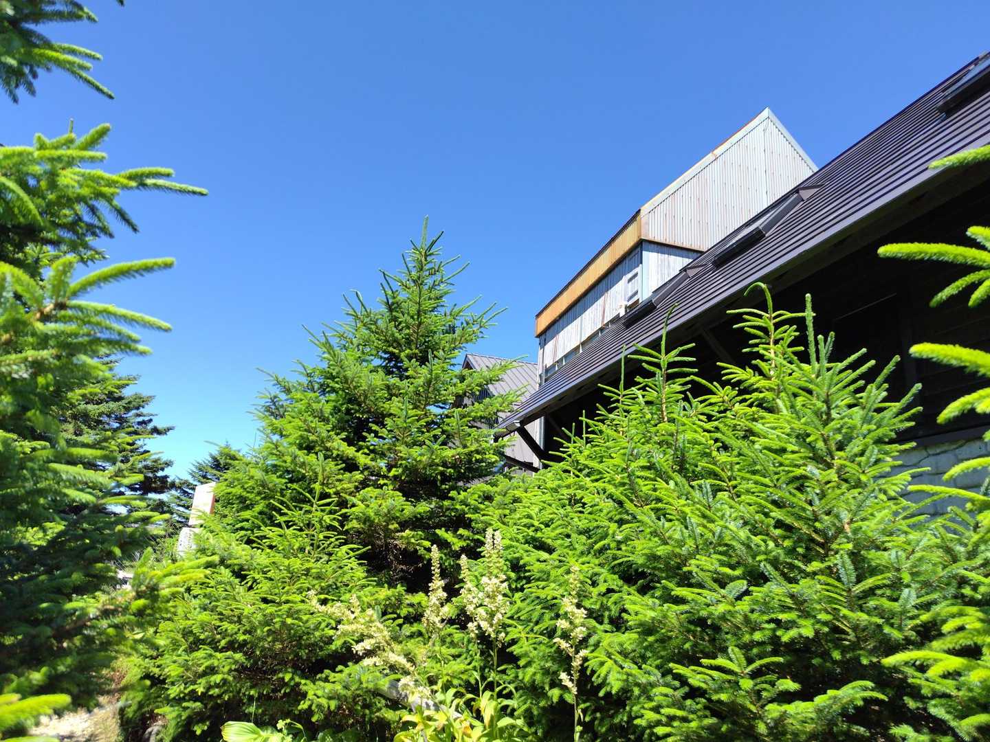 弥山小屋✨