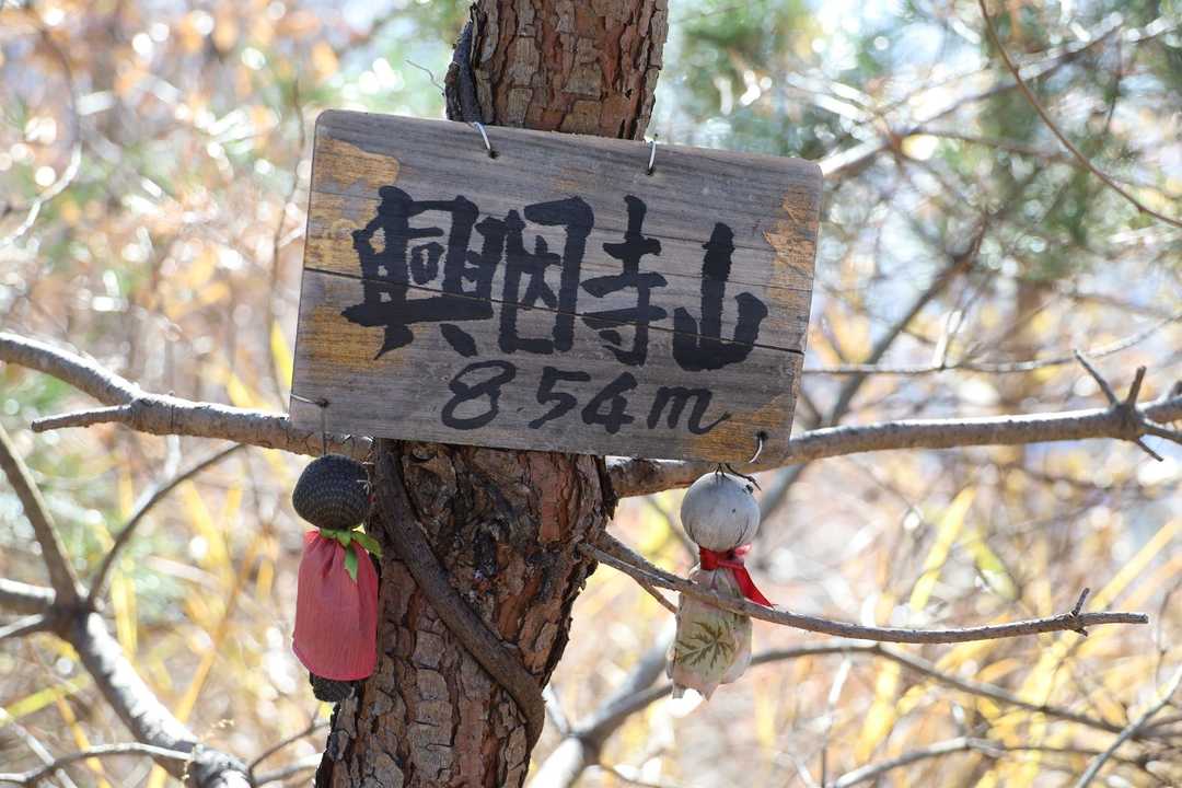 興因寺山の山頂標識
#てるてる坊主
