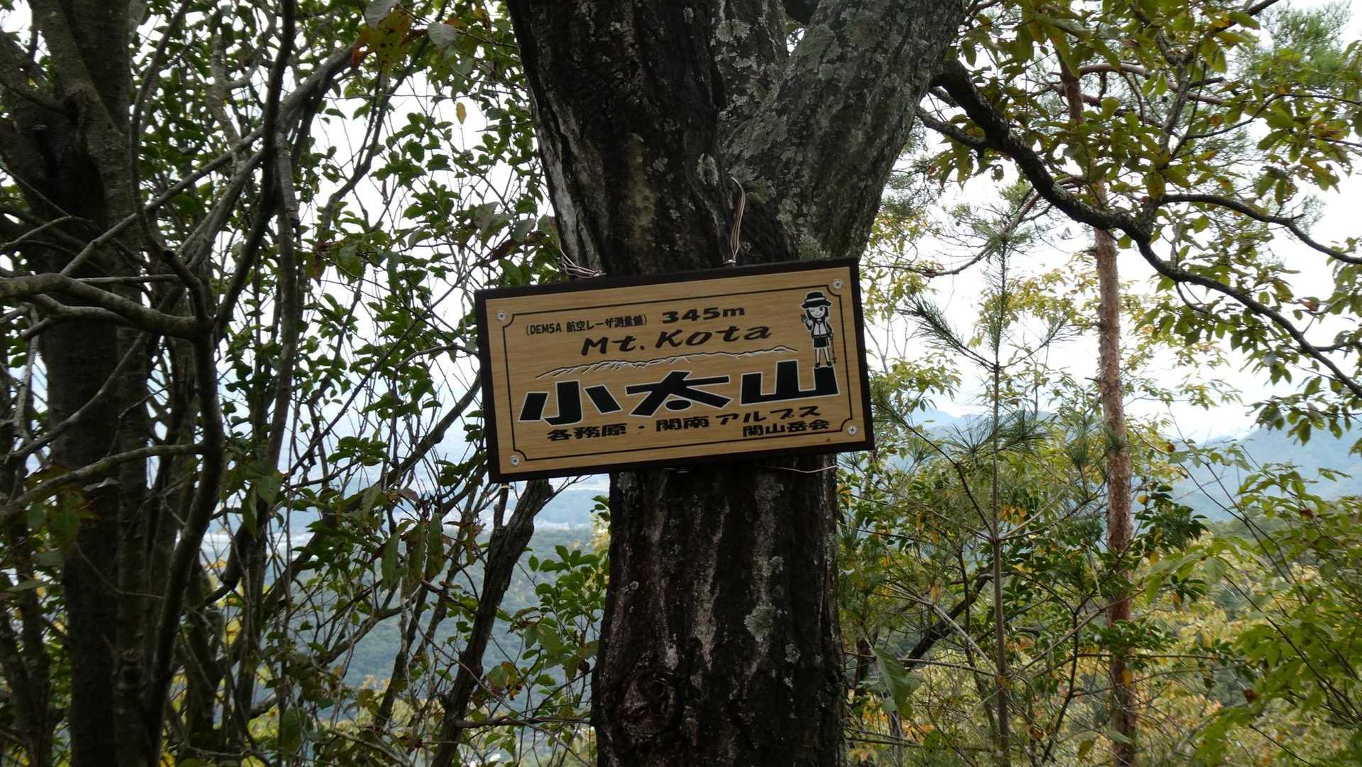 金山-岩坂峠-岩坂山-須衛山-向山 往復コースの写真