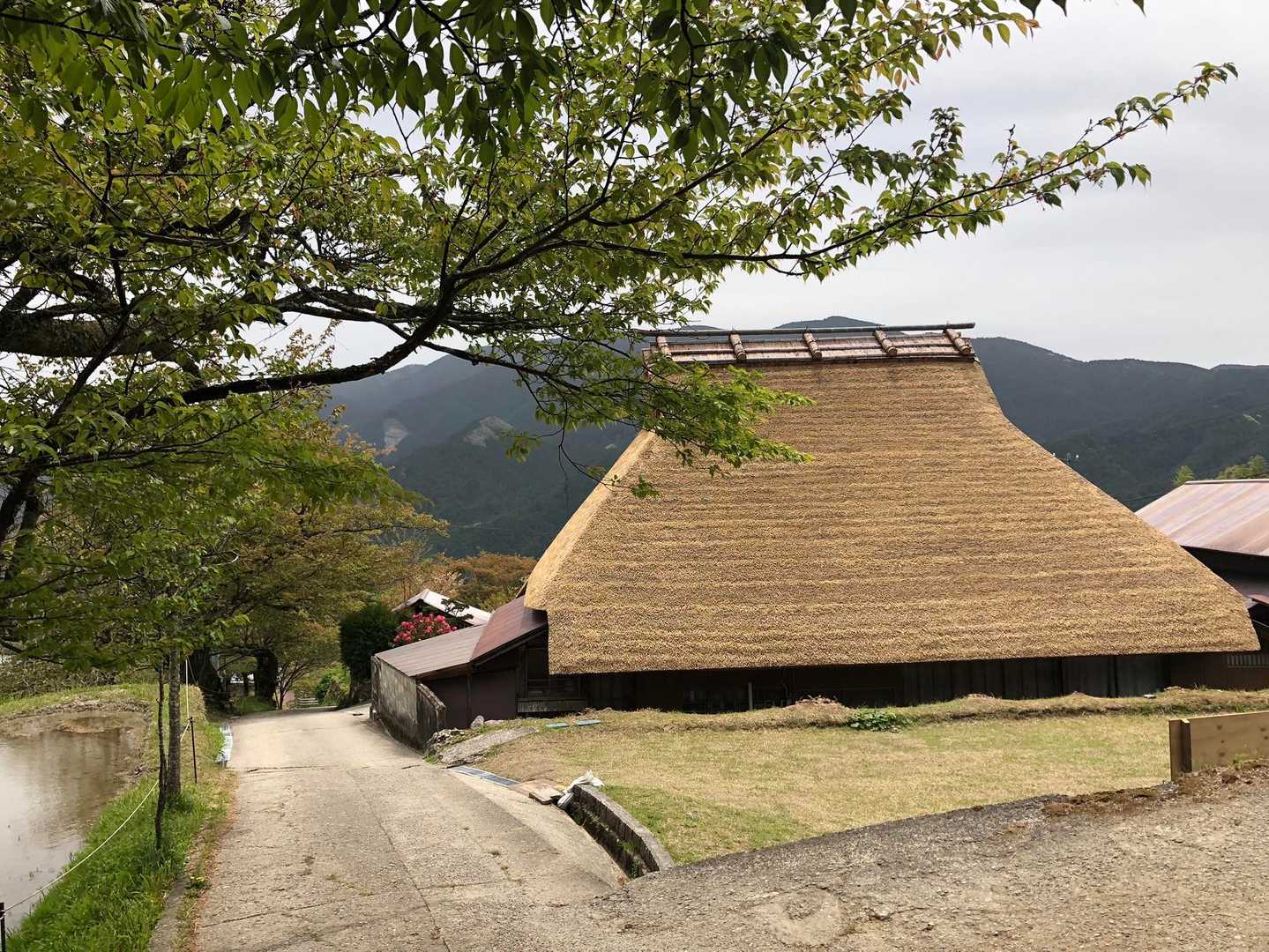 茅葺き屋根が風情があります☺️