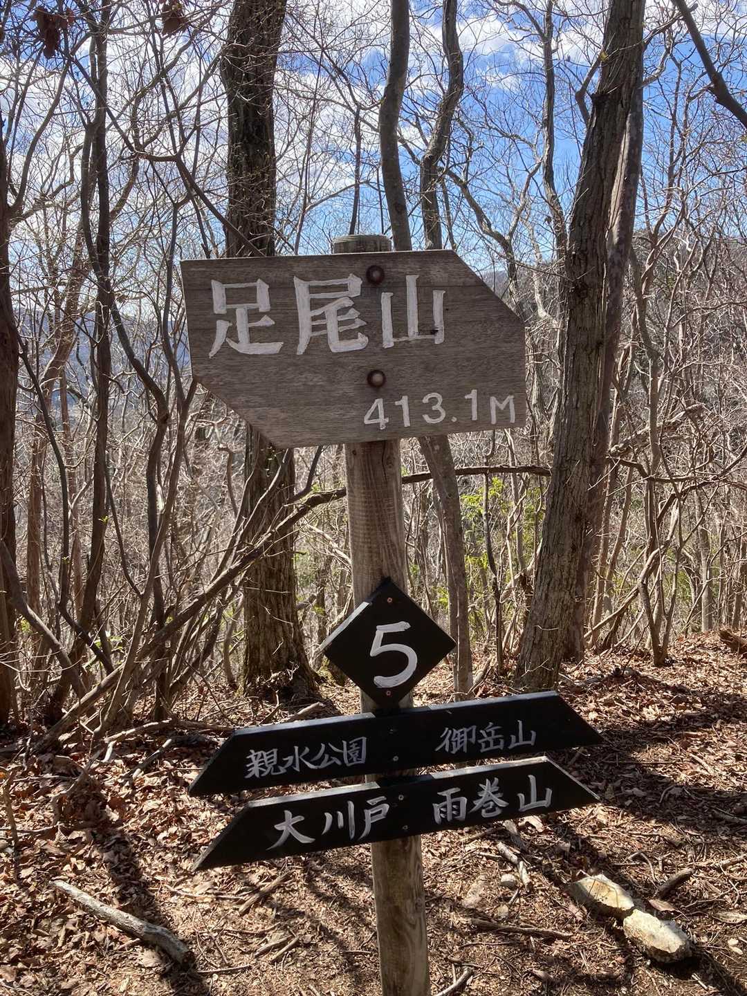 大川戸登山口-御嶽山 周回コースの写真