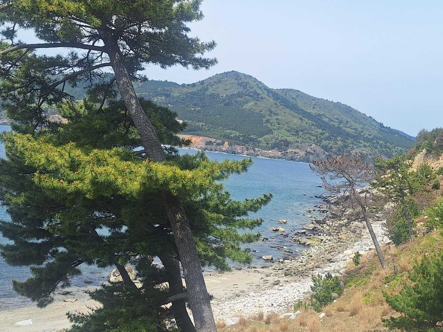 鹿山-金華山 周回コースの写真