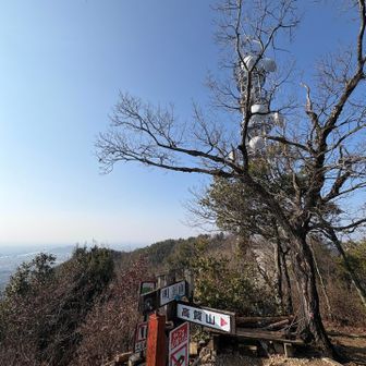 さっそくコーヒーとパンを出して
いただきます

春みたい
暖かい
ゆっくり過ごしました

足伸ばしたり
手を空に向かって伸ばしたり
山頂の周りを歩いたり
自由な人になってたと思う　