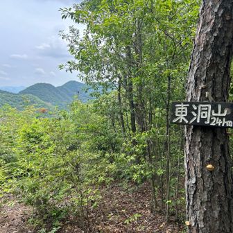 ラスト5️⃣東洞山　

景色よく、歩いてきた山が見えて、、ゆっくり休憩☕️します

実は、暑いからバテないように、ちょこちょこ、ずーっと食べまくりでした😋　