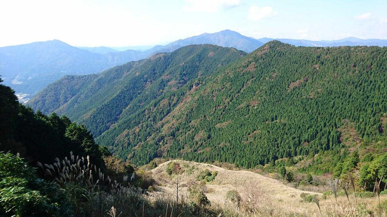 植松山西尾根ルートと日名倉山から後山