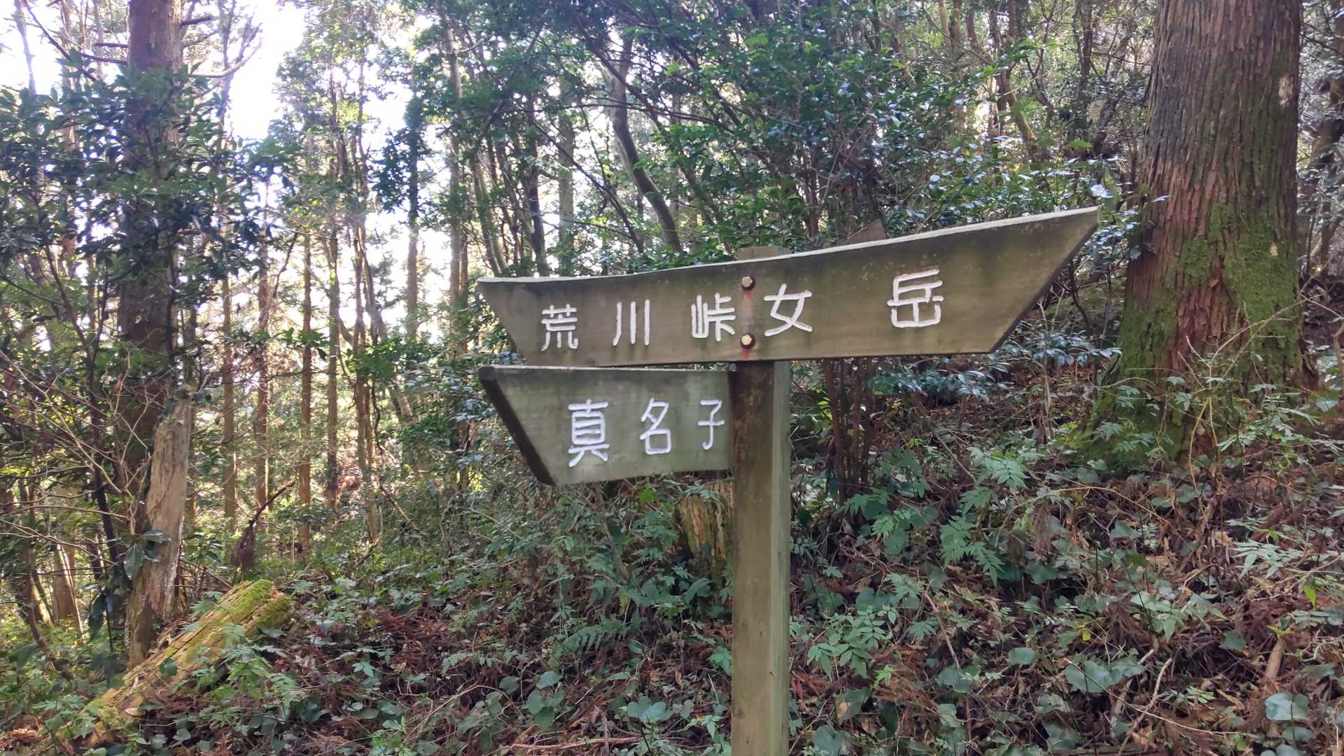 ここが分岐です。
1回目は女岳のあと、ここの分岐から下り。2回目はここまで登って荒川峠～羽金山へ向かいます🚶‍♀️