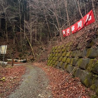 ここに戻ってくるのね