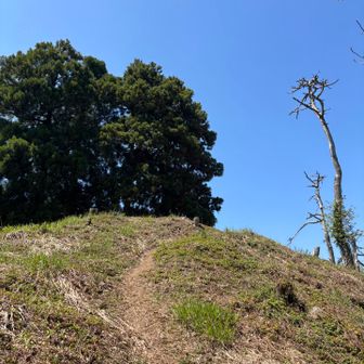 この先頂上☺️階段なくてよかった😁