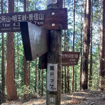 ここから離脱して夕焼け小焼けへ下山。