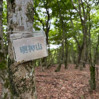行きに素通りした明神山