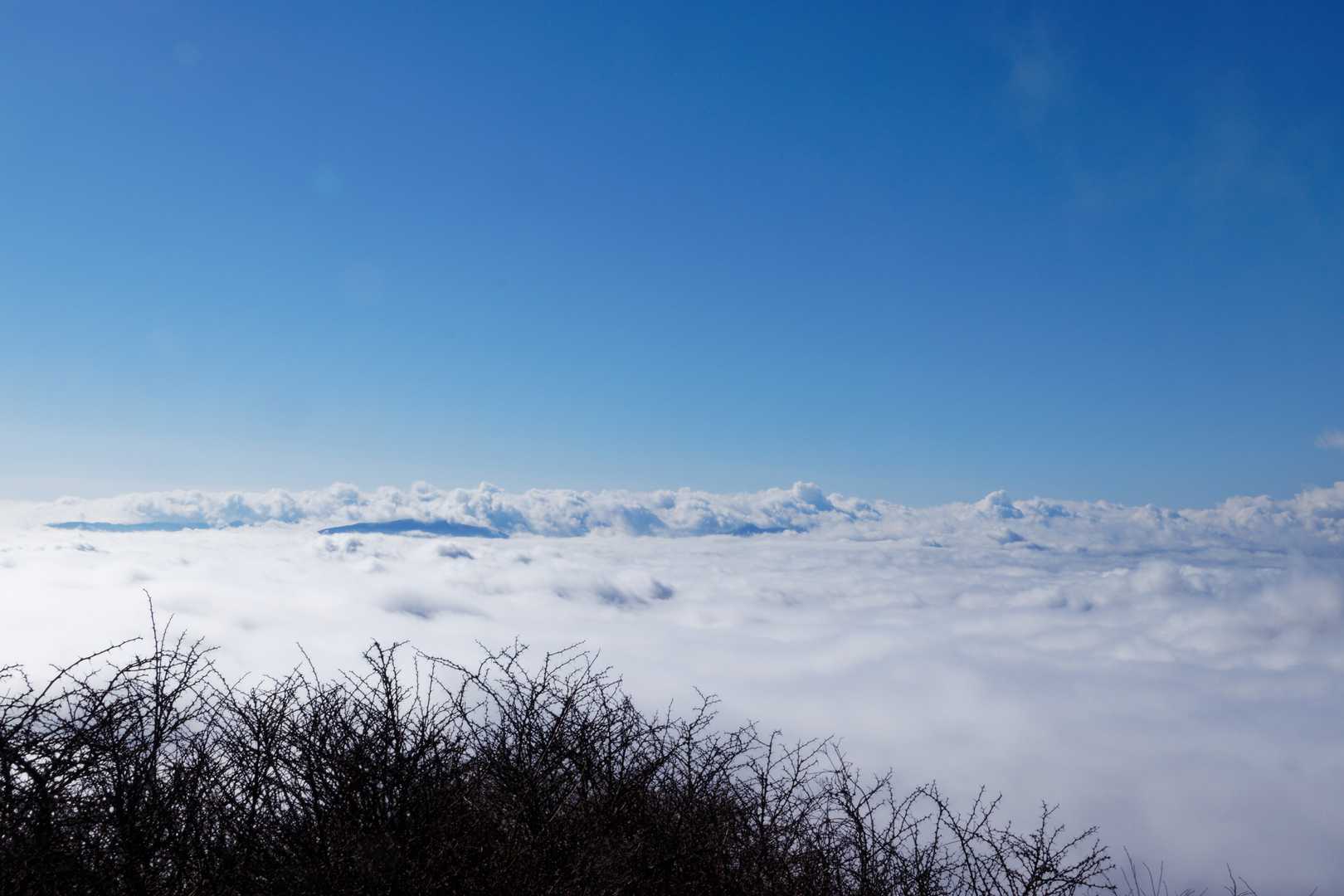 後沢乗越-鍋割山-小丸 周回コースの写真