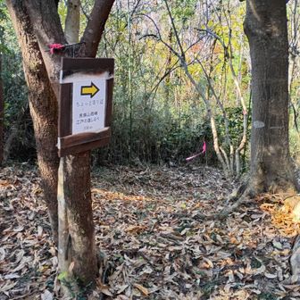 さっきの古道標識への案内もあります。