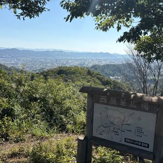 久しぶりの展望台