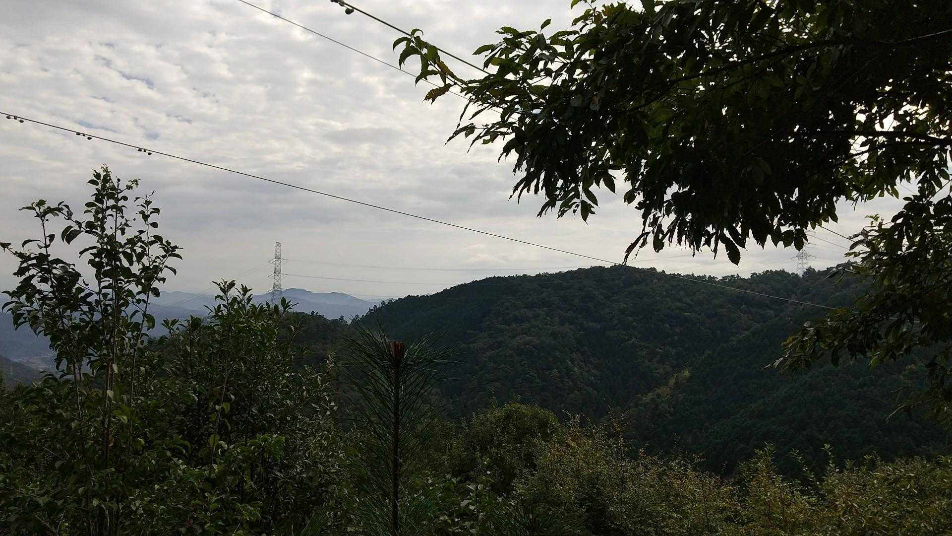釜ヶ谷山 往復コースの写真