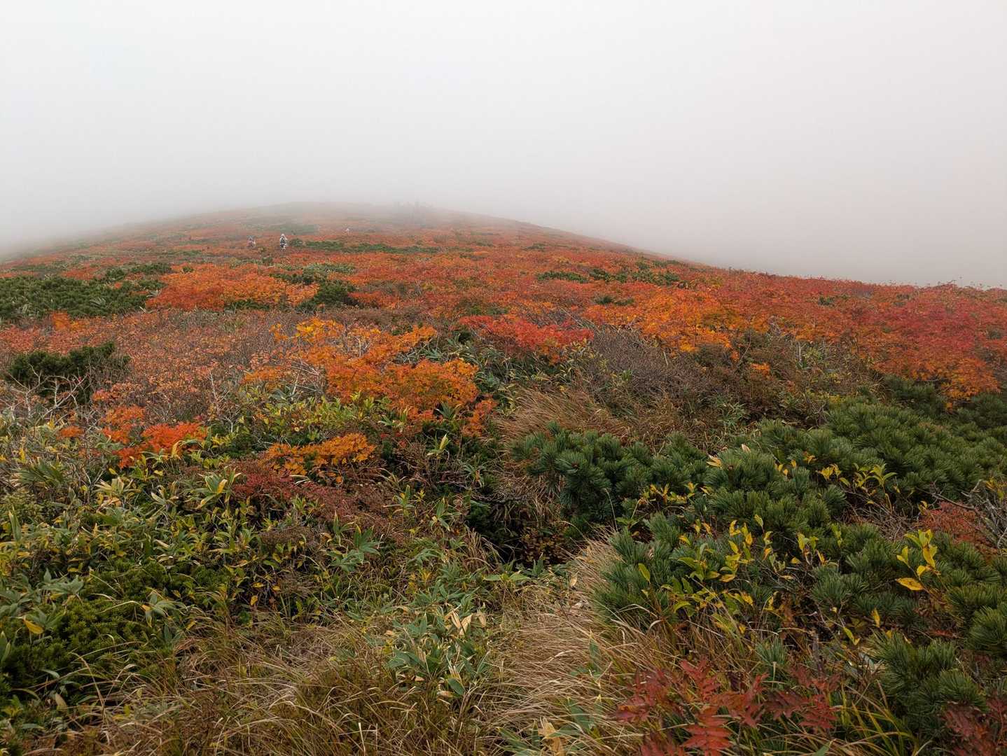 栗駒山 | 神の絨毯と称される圧倒的な紅葉美、山全体を染める極彩色のパノラマの写真