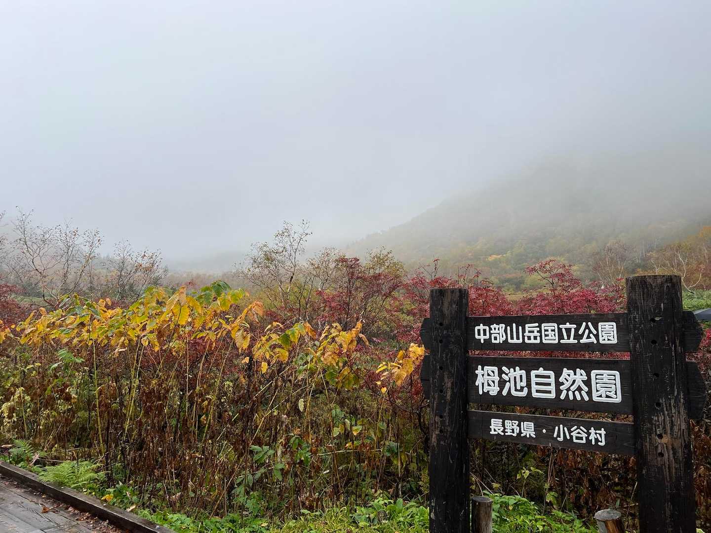 栂池自然園 | 背後には白馬連峰の美しい稜線。四季の移ろいが池塘に映える高層湿原の写真
