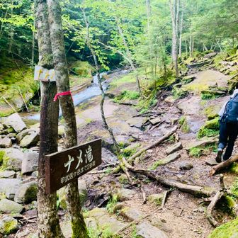 ナメ滝
渡るのかと思っていましたが渡りません