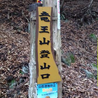 ここまで30分位舗装路。