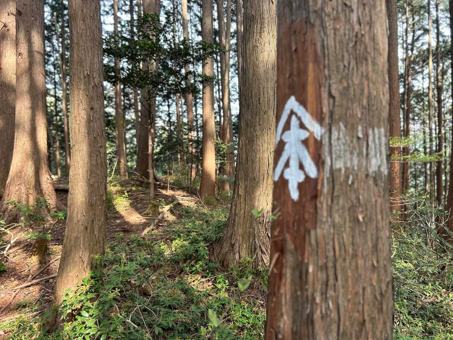 ここは山本さんのテリトリーか❗️