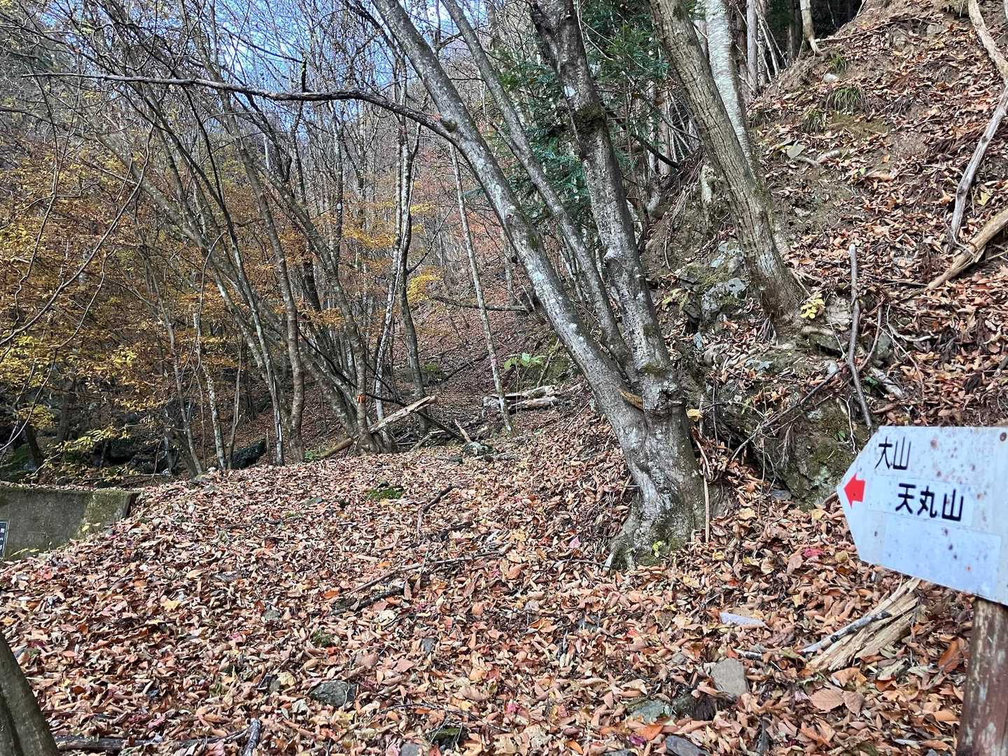 登山口