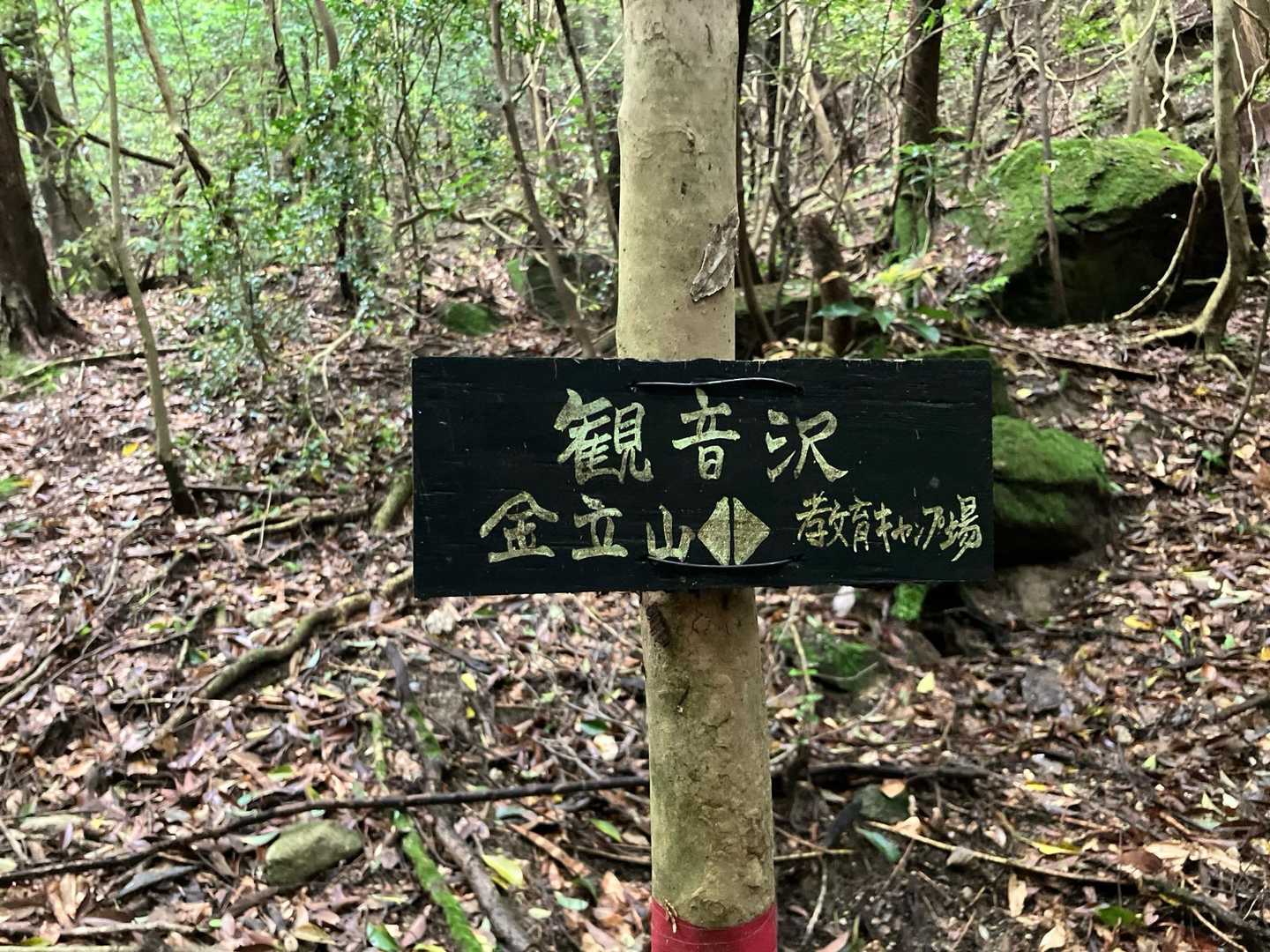 👈こっち
