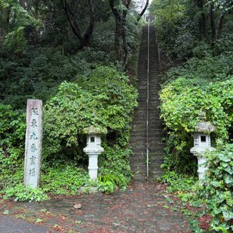 急な階段を登る