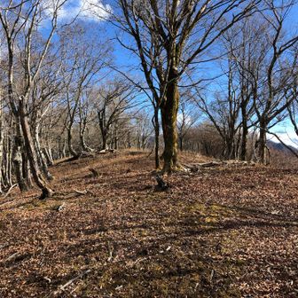 善六山の山頂の様子。
広々としていて気持ちいい！