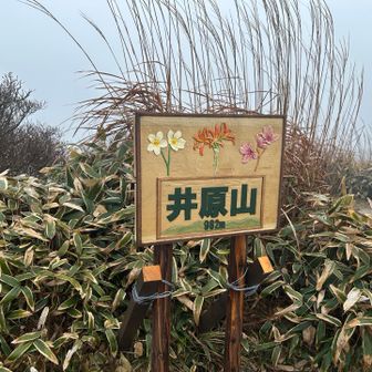 お花見にまた来たいです♪