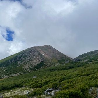 まぁまぁ登りそうです😓