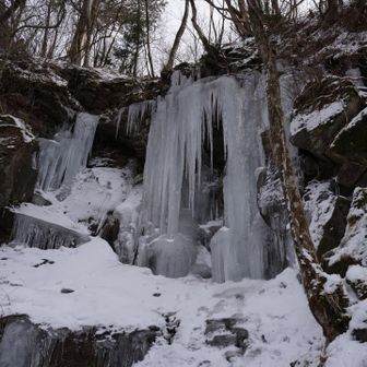 Wの滝🧊
写真だけ撮ってきてもらった
