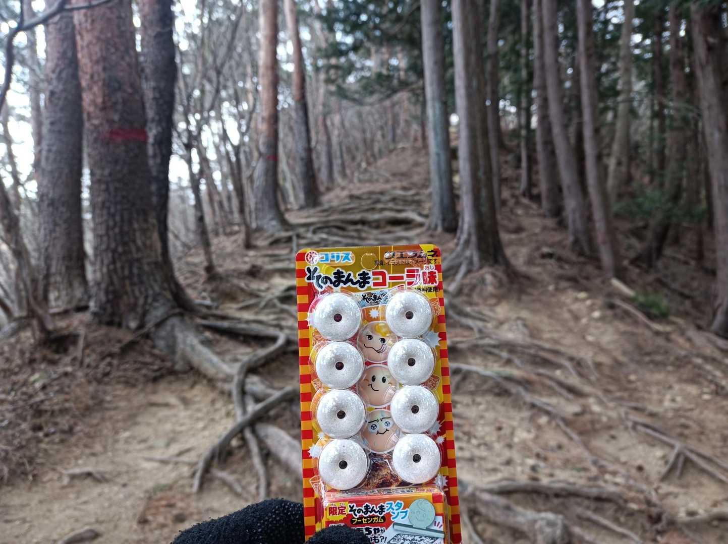 今回の秘密兵器！
『笛ラムネ~٩(ˊᗜˋ*)و✧*』ドラえもん風にね
熊よけ、糖分補給、鳥の囀りと共演
の効果があるとか無いとか🤭