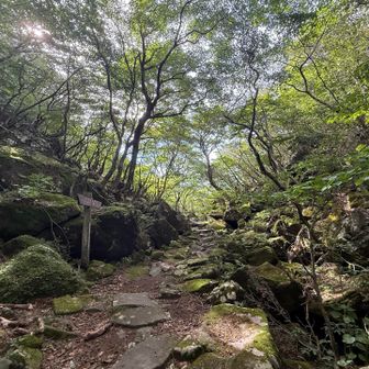 ここはほんと雰囲気良い✨