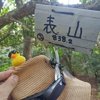 表山に着弾っ✨