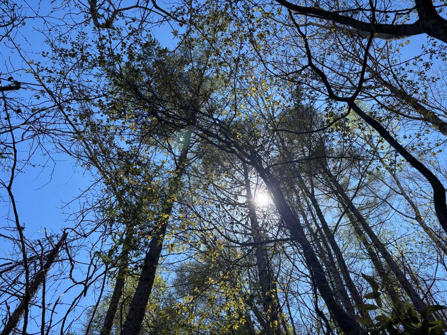 天気いいぞー‼︎
もはや暑さを感じるほどの好天。